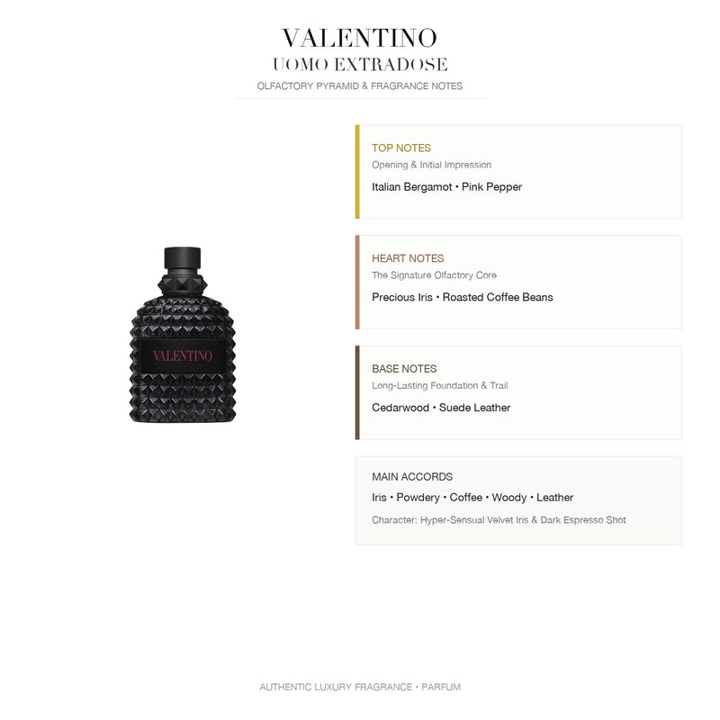 VALENTINO Uomo Extradose Parfum - Olfactory Pyramid & Fragrance Notes Infographic
