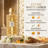 Creed Les Royales Exclusives White Amber Fragrance Notes Pyramid Breakdown Infographic