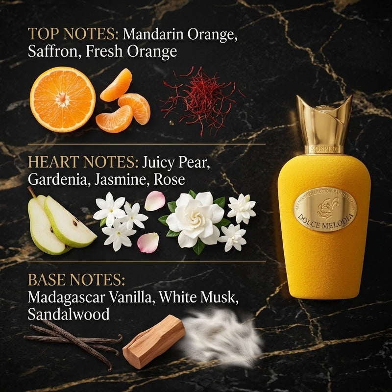 Sospiro Dolce Melodia Eau de Parfum - Olfactory Fragrance Notes Infographic