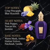 Xerjoff Accento Eau de Parfum - Olfactory Fragrance Notes Infographic