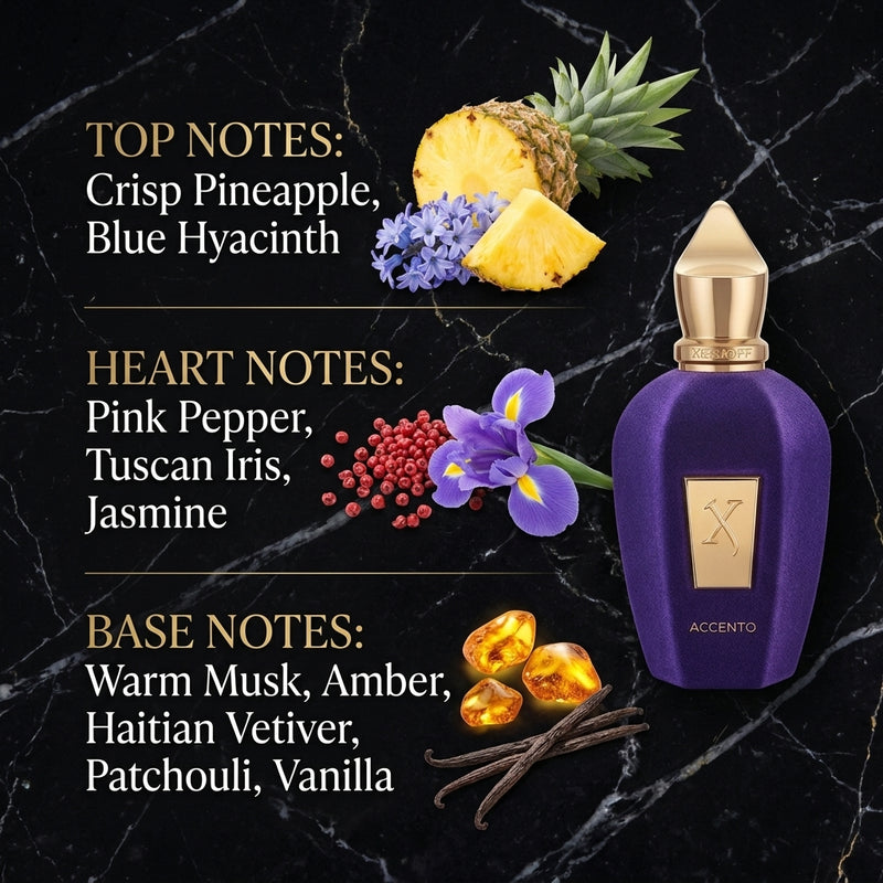 Xerjoff Accento Eau de Parfum - Olfactory Fragrance Notes Infographic