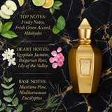 Xerjoff Accento Overdose Eau de Parfum Olfactory Fragrance Notes Infographic