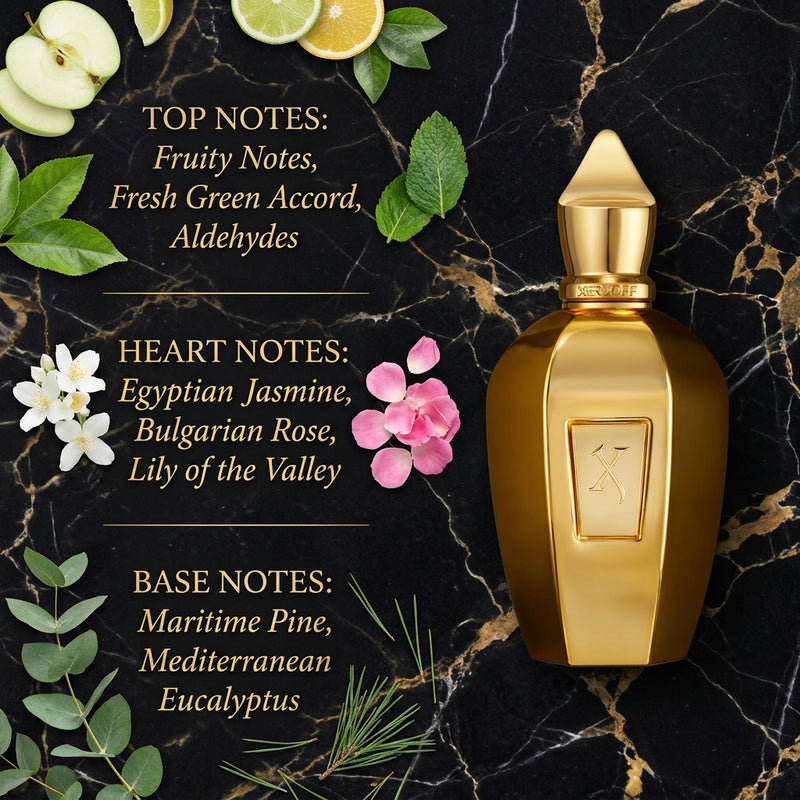 Xerjoff Accento Overdose Eau de Parfum Olfactory Fragrance Notes Infographic