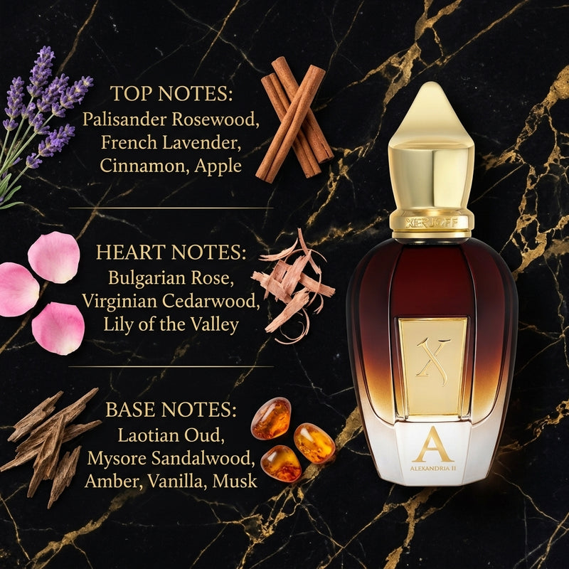 Xerjoff Alexandria II Eau de Parfum Olfactory Fragrance Notes Infographic