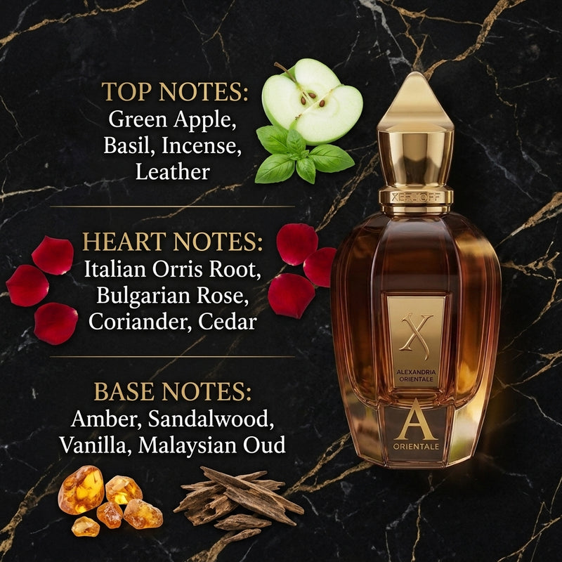 Xerjoff Alexandria Orientale Eau de Parfum - Olfactory Fragrance Notes Infographic