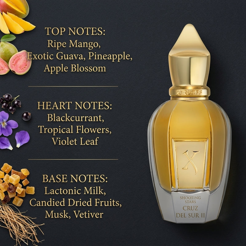 Xerjoff Cruz del Sur II Eau de Parfum Olfactory Fragrance Notes Infographic