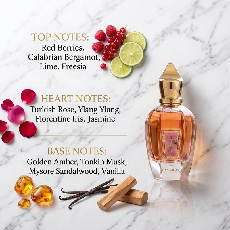 Xerjoff Dama Rose Eau de Parfum - Olfactory Fragrance Notes Infographic