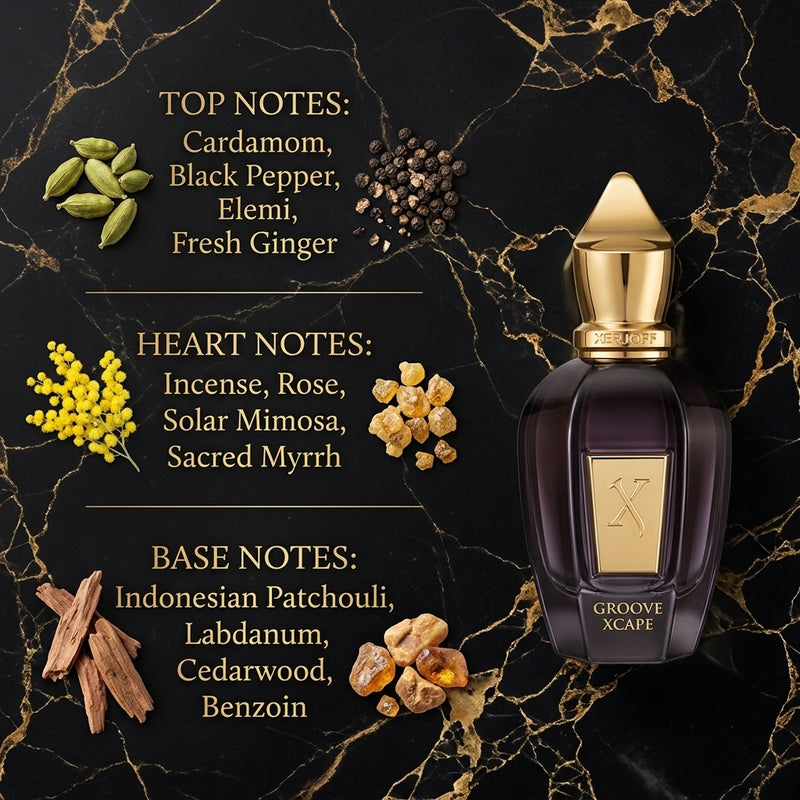 Xerjoff Groove Xcape Eau de Parfum Olfactory Fragrance Notes Infographic