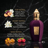 Xerjoff Muse Eau de Parfum - Olfactory Fragrance Notes Infographic