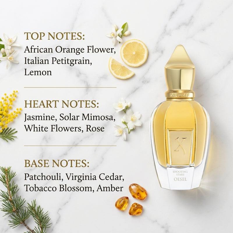 Xerjoff Oesel Eau de Parfum Olfactory Fragrance Notes Infographic