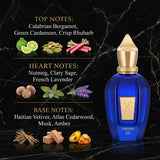Xerjoff Torino 25 Eau de Parfum - Olfactory Fragrance Notes Infographic