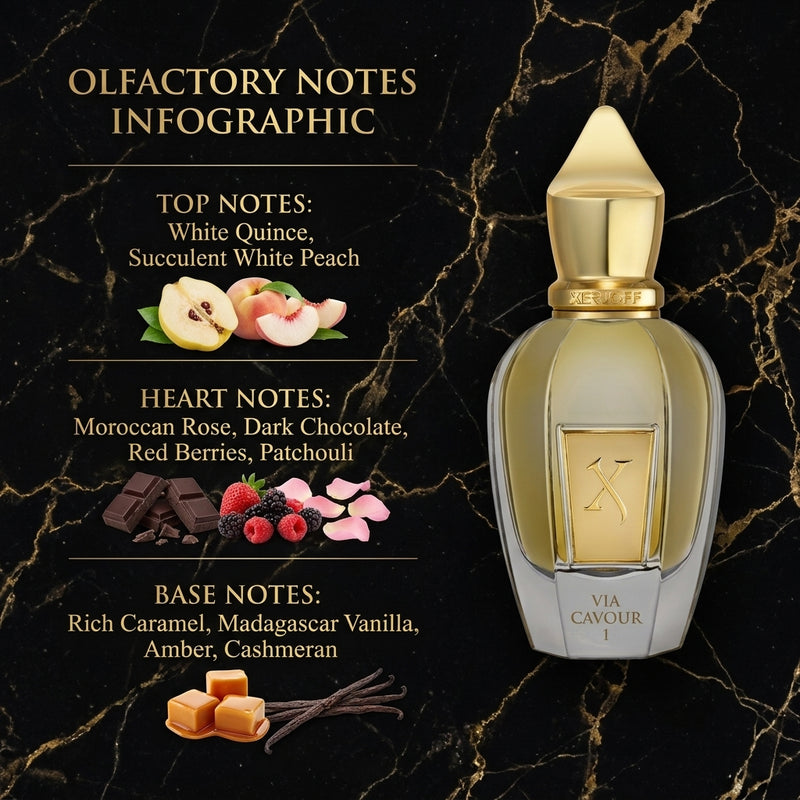 Xerjoff Via Cavour I Eau de Parfum Olfactory Fragrance Notes Infographic